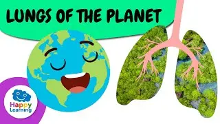 THE LUNGS OF THE EARTH | Educational Videos for Kids | Happy Learning 🫁🌏🌳