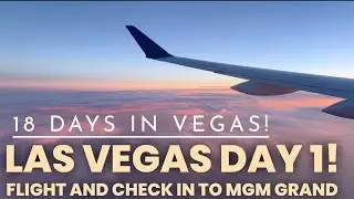 Las Vegas Day 1! Flight and check into MGM Grand