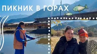 Пикник в горах, форелевое хозяйство