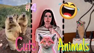 Animal dubbing compilation 🐱🐀🤣😅 | Animal funny dubbing | cute animals | dubbing video