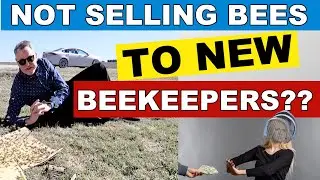 Beekeeping | Can You Buy Bees If You Dont Take A Class?