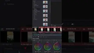 How to Copy/Paste color grade in davinci | Davinci Resolve Tutorial