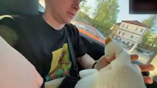 Ликс ЗАДУШИЛ ГУСЯ под плейбой карти