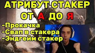 АТРИБУТ СТАКЕР ДЛЯ НАРОДА!Leveling/Endgame(PathOfExile2 - гайд)