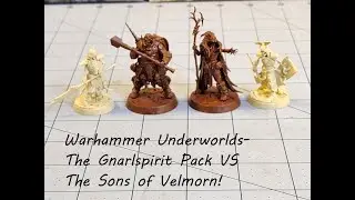 Warhammer Underworlds- Gnarlwood Starter Box!