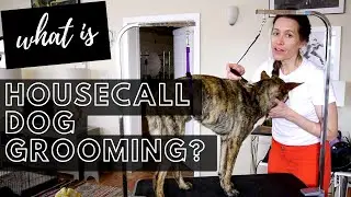 What is House Call Dog Grooming? // what you need to know // my equipment & process