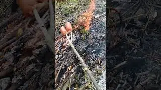 майские