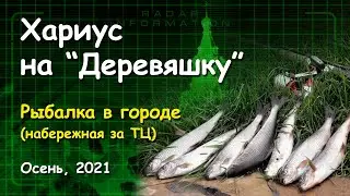 Хариус на "Деревяшку". Рыбалка в городе (набережная за ТЦ). Осень, 2021.