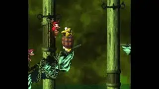 Donkey Kong Country 2: Diddy's Kong Quest- Slime Climb  (Bonus Coins + DK Coin Walkthrough)