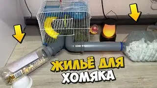 🔨 СТРОЮ ЖИЛИЩЕ ДЛЯ ХОМЯКА 🏡