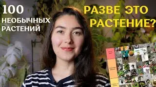 УРОДЛИВЫЕ, утончённые, РЕДКИЕ, не похожие на РАСТЕНИЯ | 100 необычных растений ОТ ПОДПИСЧИКОВ🌱