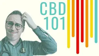 CBD Oil 101: Doctor Explains for ABSOLUTE beginners