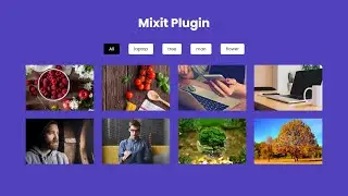 How to use jQuery MIXIT up Plugin with HTML CSS | HTML CSS Mix IT Up Plugin @raselcoder