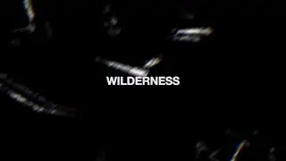 Jinx FTRE - Wilderness (VISUALIZER)