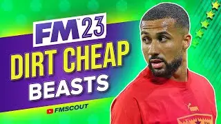 More Cheap BEASTS You NEED To Sign In FM23 | Football Manager 2023 Best Players