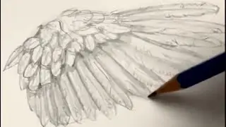 Draw Angel Wings 🪽 Easy drawing tutorial for new artists on how to draw angel wings. #drawinglesson