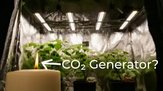 Candle CO₂ Generator - Does it work?