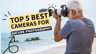 Top 5 best cameras for nature photography