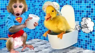 Monkey Baby Bon Bon Bathes with Duckling in the bathtub and eats watermelon ice cream with the puppy