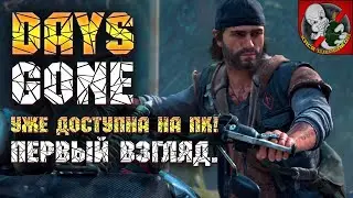 Days Gone ВЫШЛА на ПК! [Первый взгляд]