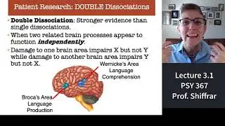 367 Lecture 3.1 Dissociations in People with Brain Damage