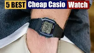 Best Cheap Casio Watches of 2025 [Updated]