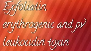 exfoliatin toxin ,erythrogenic toxin and pv leukocidin toxin.