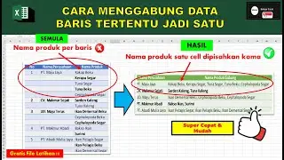 Cara Cepat Menggabung Beberapa Baris Tertentu menjadi Satu di Excel