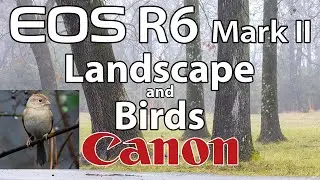 Canon R6 Mark II Landscape & Bird Photography Adventure!