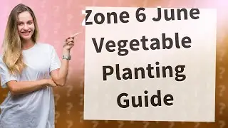 What Are the Best Vegetables to Plant in June for Zone 6 Gardens?