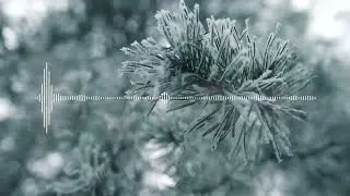 Frank Sinatra - Jingle Bells (Gourski's DNB Flip)