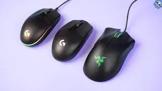 Logitech G102, G304 & Razer Deathadder Essential - A frustrating common experience