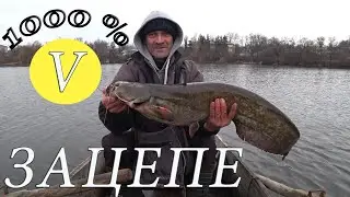 Рыбалка с лодки. Сом на пулю.. Это был глухой зацеп.