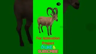 Ibex standing idle #green #chromakey #animation #jerma