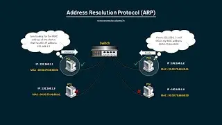 ARP Protocol Animation (CCNA)