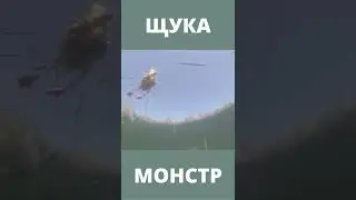 ЩУКА МОНСТР!!!! #Shorts