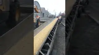 Серьёзные дела | прикол