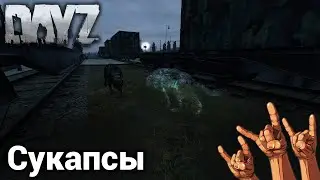 DayZ | Дневники выжившего 3 | Рок, военка и два пса (4)