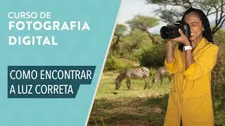 CURSO BÁSICO DE FOTOGRAFIA: Como encontrar a luz correta ou exposição na fotografia