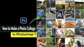 How to Make a Photo Collage in Photoshop | Photo Collage