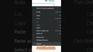 Reveal passwords on any website!