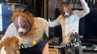 Ye kon aya h Doodle aur Victor se milne ? 😱