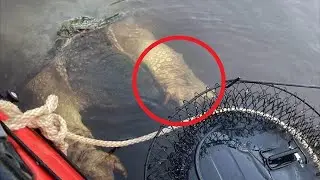 Huge Paws Suddenly Rose from the Water Next to the Tourists. They SCREAMED IN FEAR!