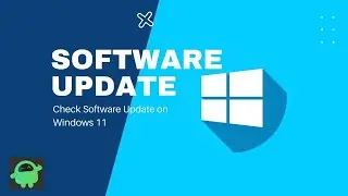 How to Check Software Update on Windows 11