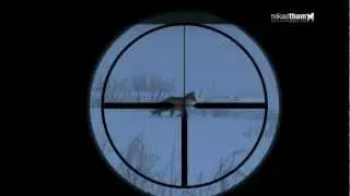 Духовые манки на хищника и копытных NORDIK