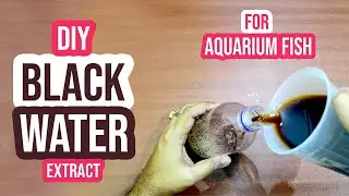 🍂💦 DIY Blackwater Extract: Making Black Water for Aquarium Fish 🐠