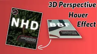 HTML & CSS: Hover Effect (3D Perspective)