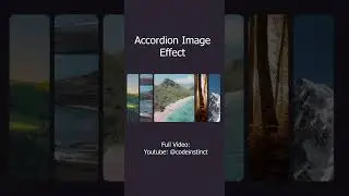 Image with Accordion Effect on Hover using CSS and HTML -  SHORTS