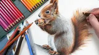 How To Draw Fur With Watercolour Pencils