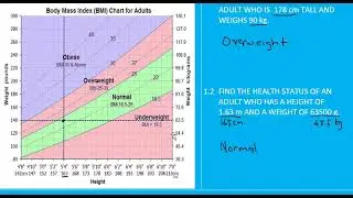 Grade 12 Mathslit: BMI (P1)